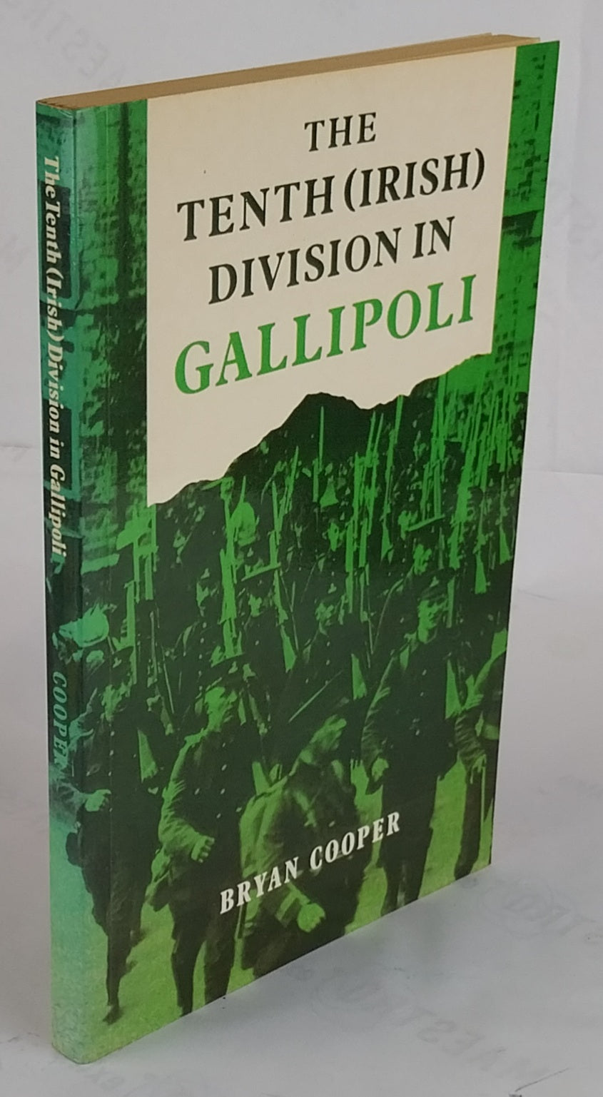 The Tenth (Irish) Division in Gallipoli