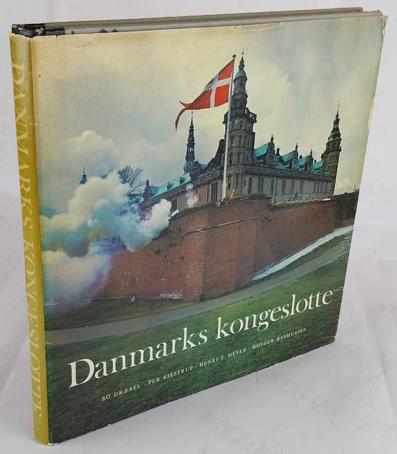 Danmarks kongeslotte