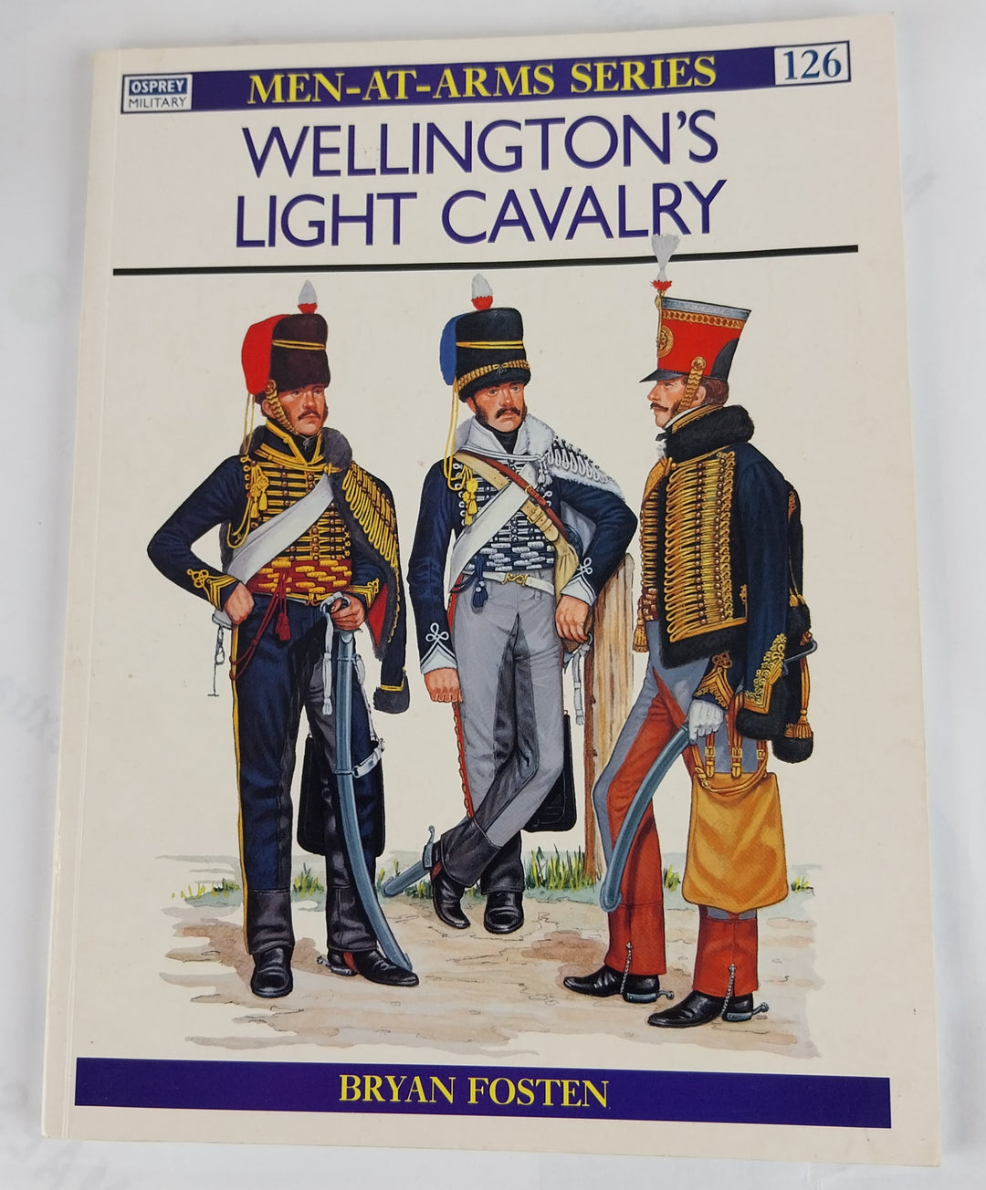 Wellington's Light Cavalry
