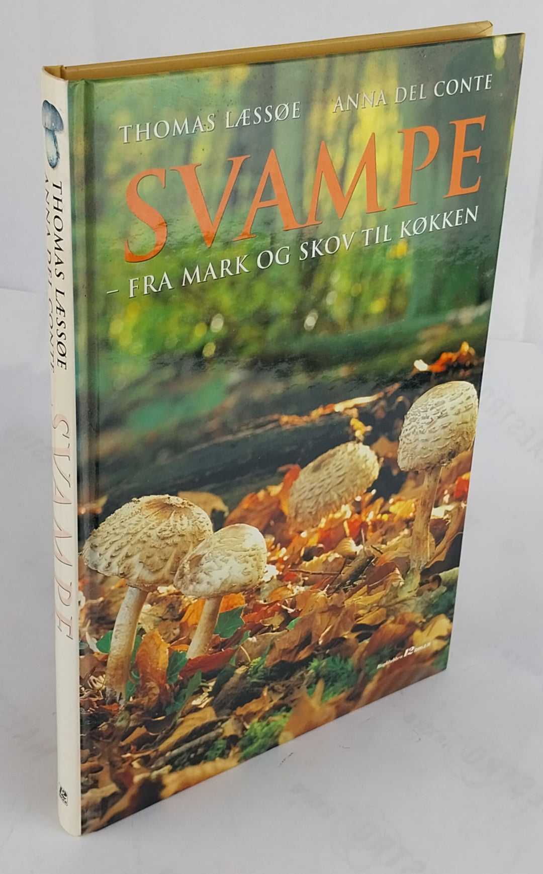 Svampe - fra mark og skov til køkken