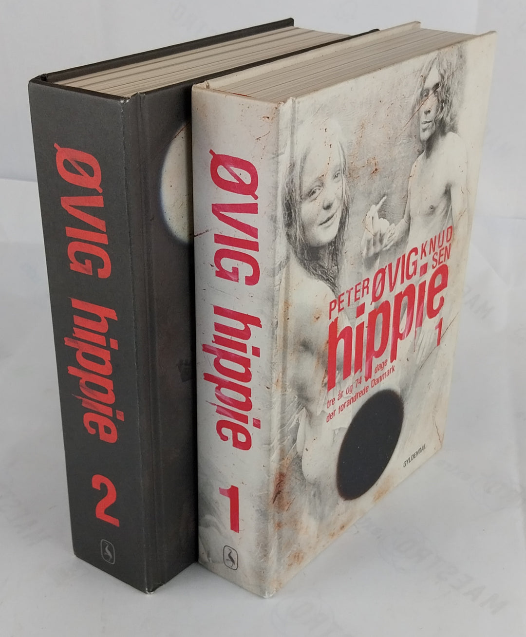 Hippie: Tre år og 74 dage der forandrede Danmark. Den sidste sommer. 1-2