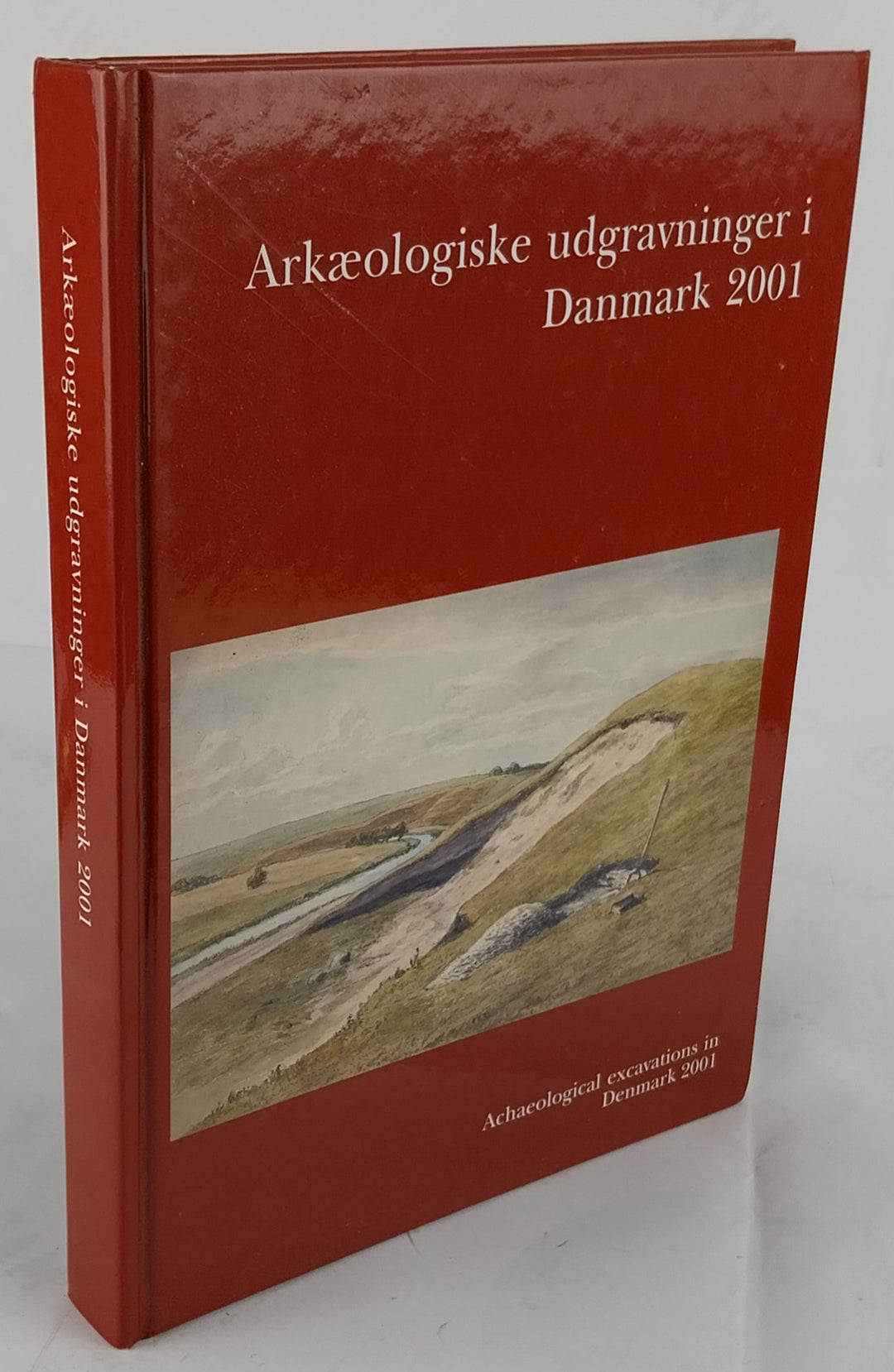 Arkæologiske udgravninger i Danmark 2001
