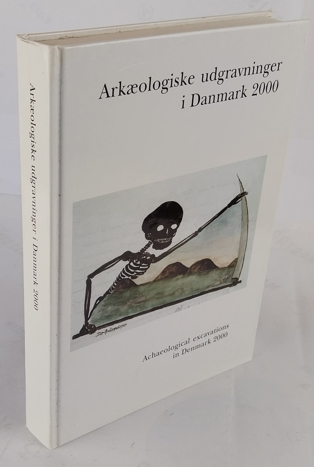 Arkæologiske udgravninger i Danmark 2000