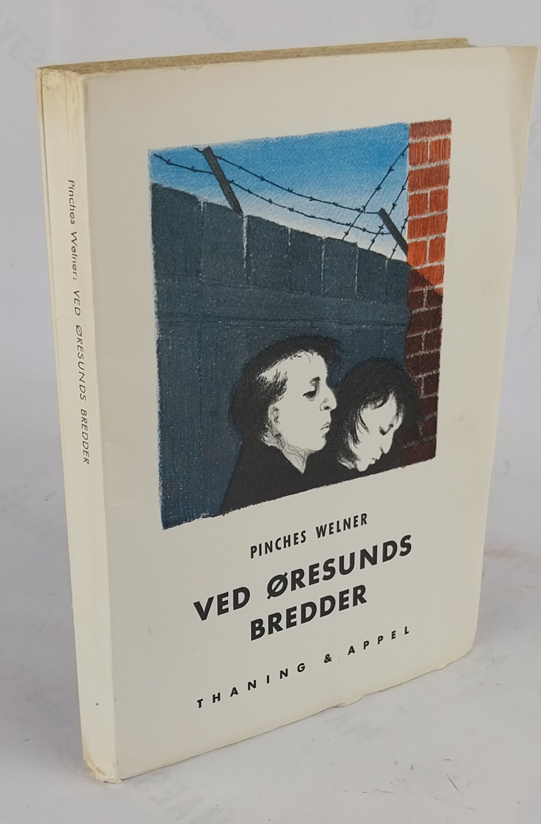 Ved Øresunds bredder