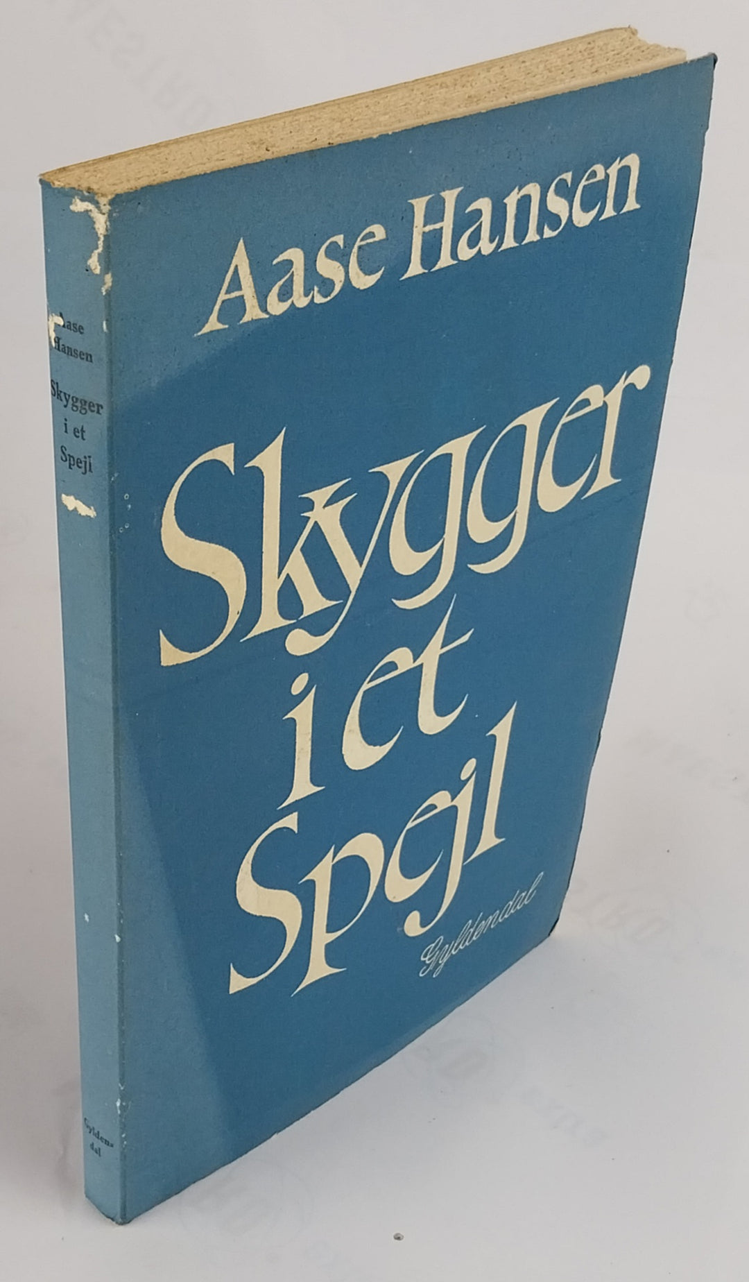 Skygger i et Spejl