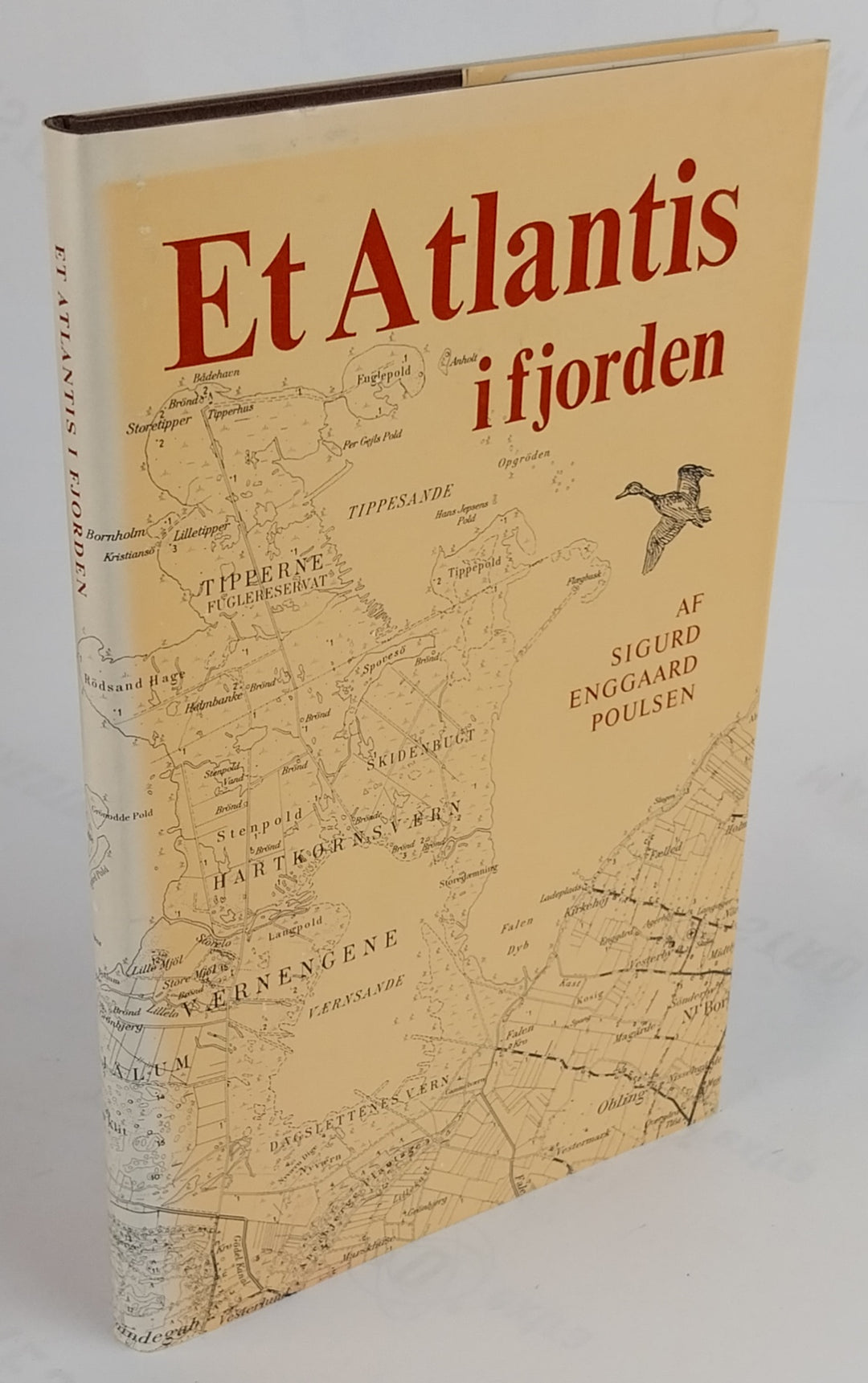 Et Atlantis i fjorden