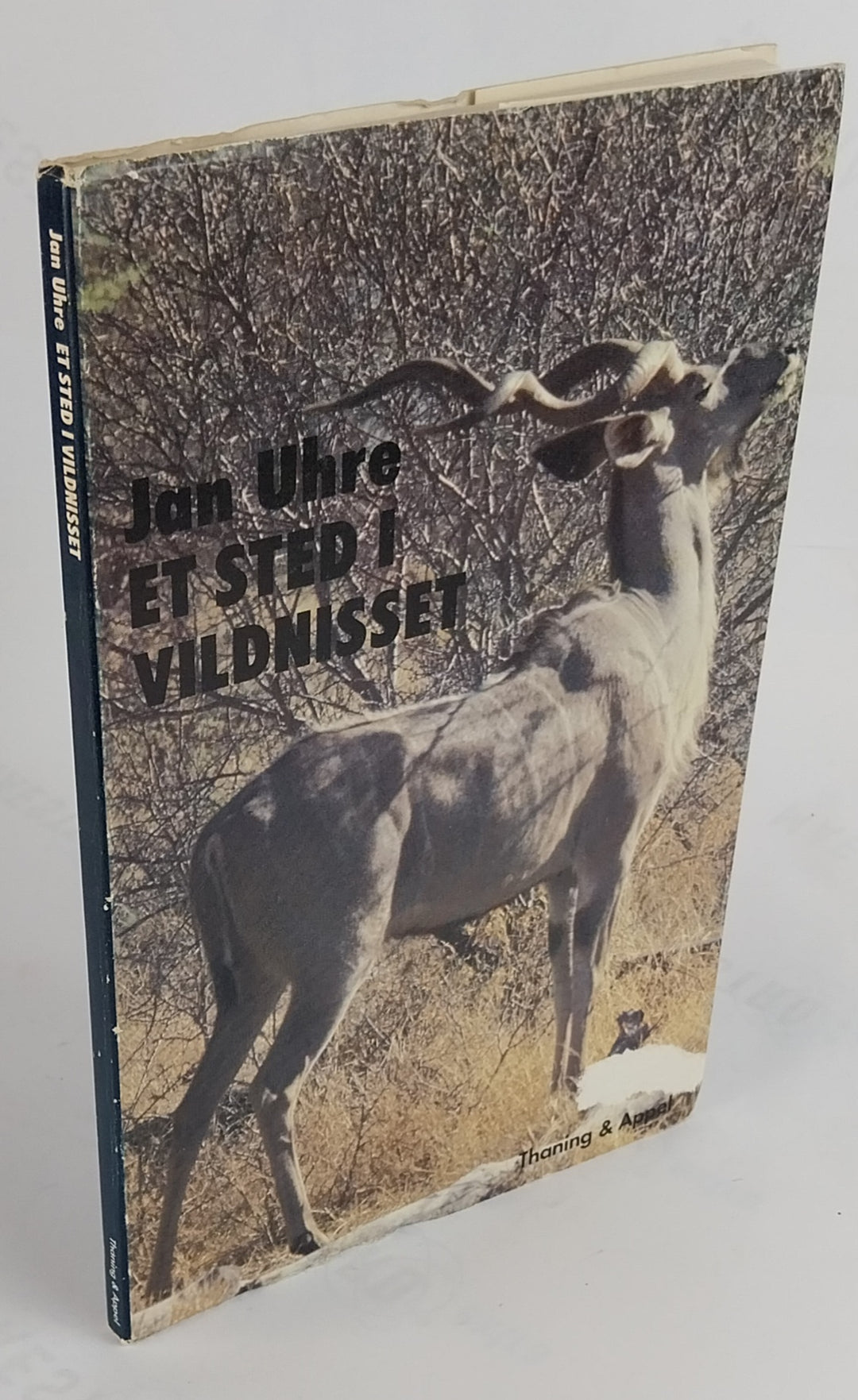 Et sted i vildnisset