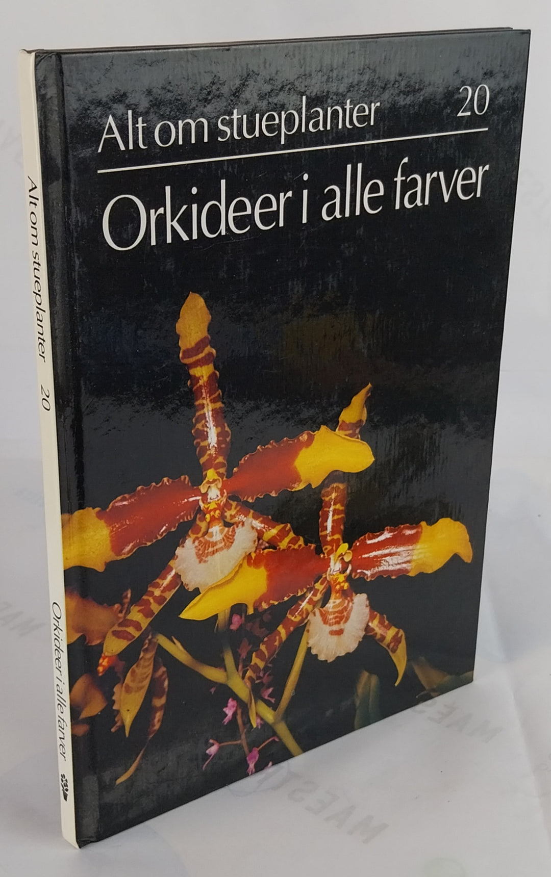 Orkideer i alle farver