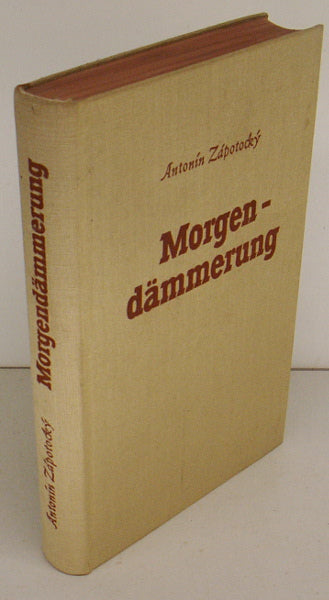 Morgendämmerung
