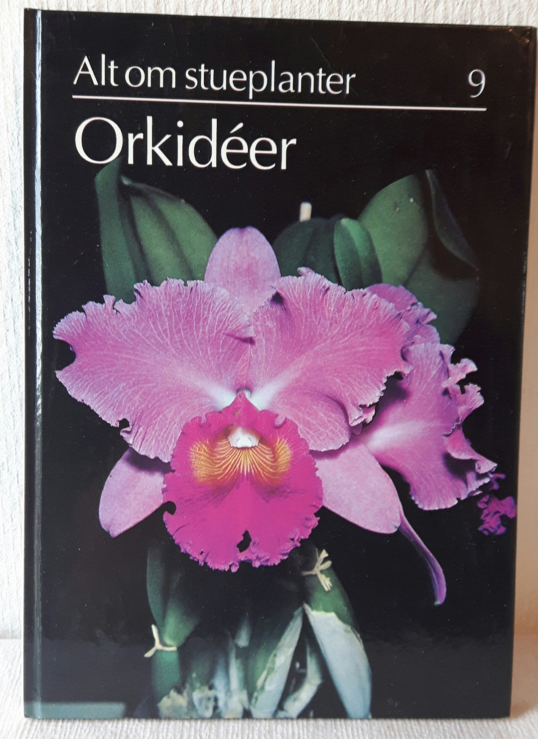 Orkidéer