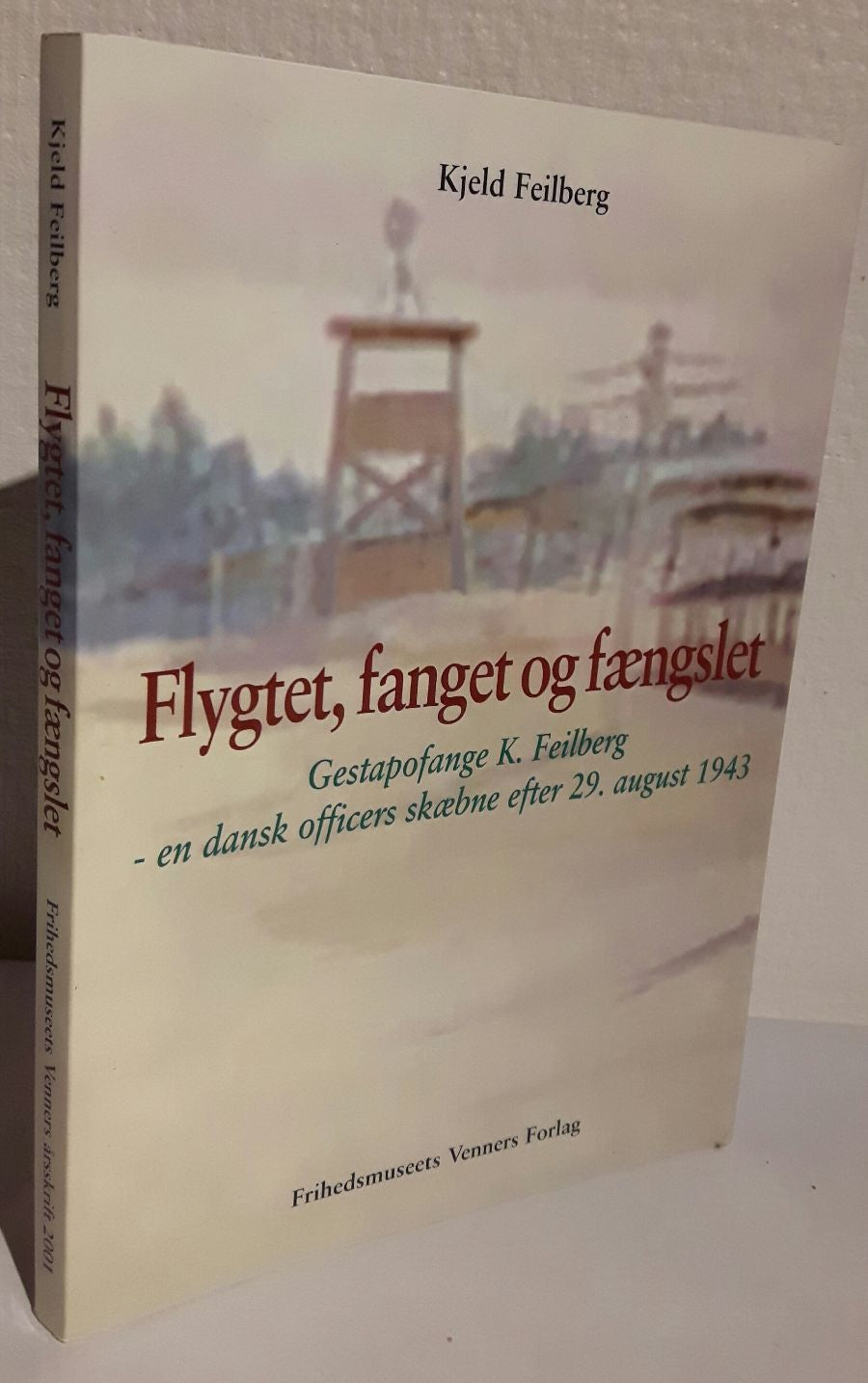 Flygtet, fanget og fængslet