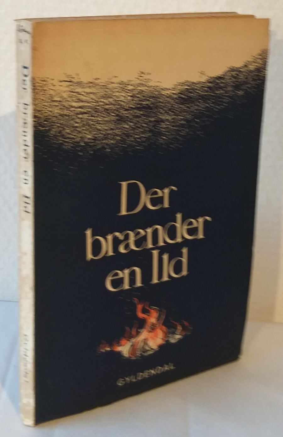 Der brænder en ild