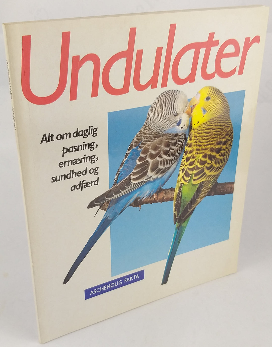 Undulater