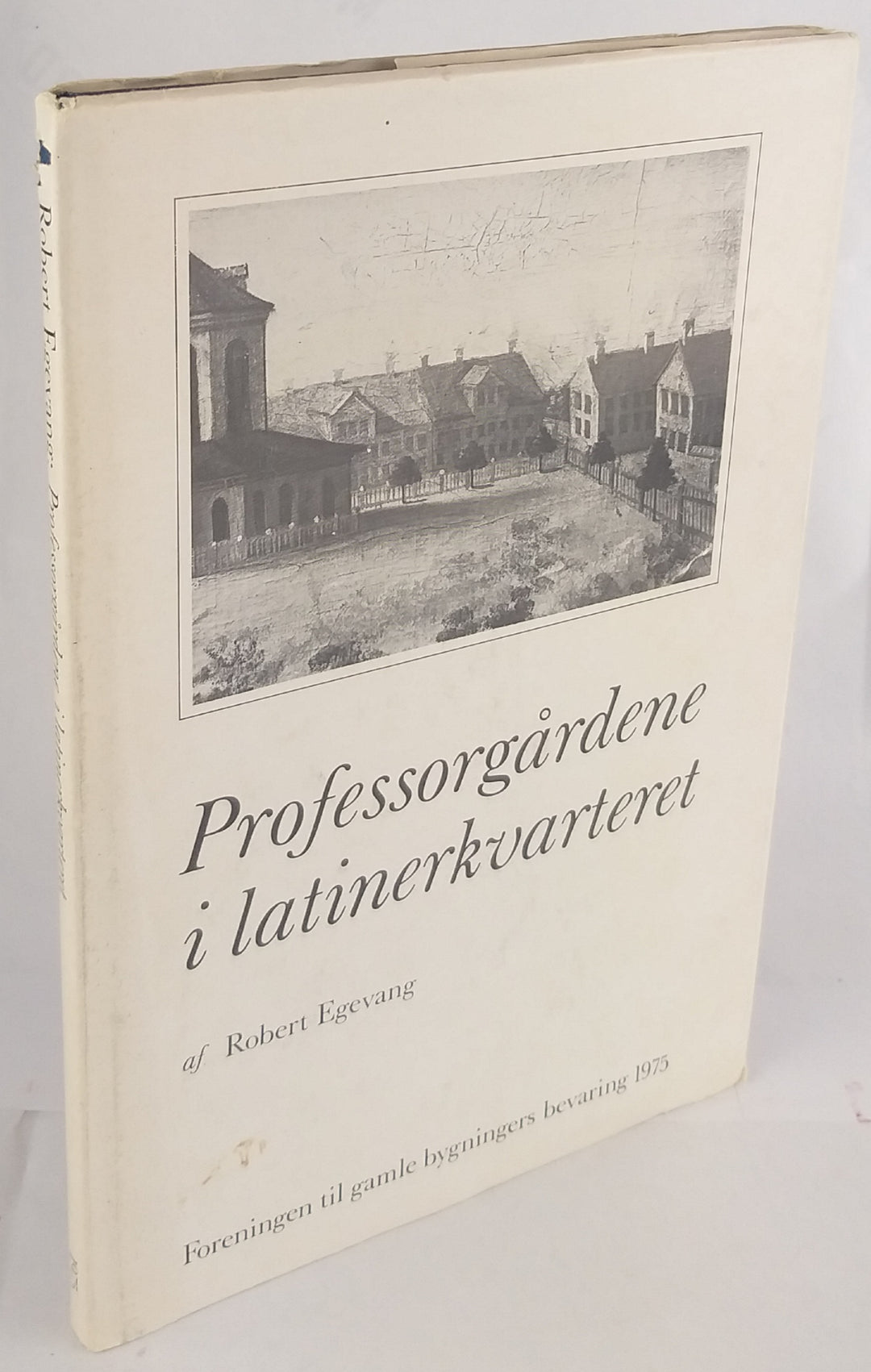 Professorgårdene i latinerkvarteret