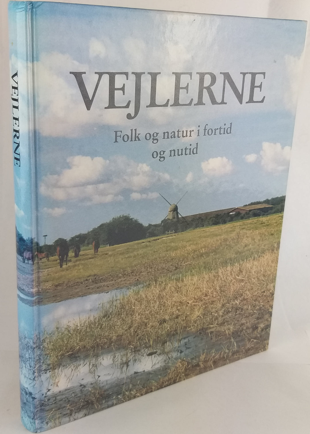 Vejlerne