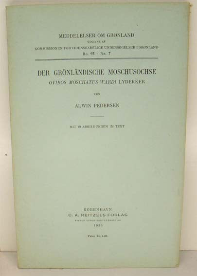 Der Grönländische Moschusochse