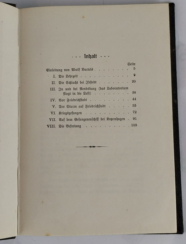 Kriegserinnerungen eines Achtundvierzigers