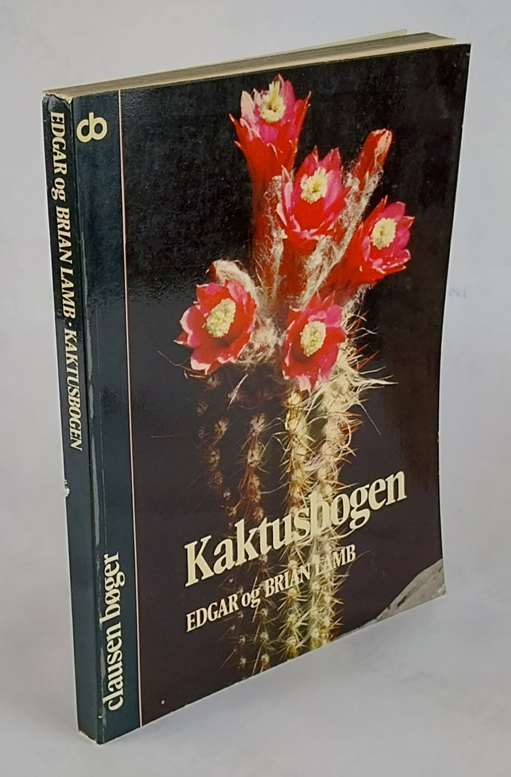 Kaktusbogen