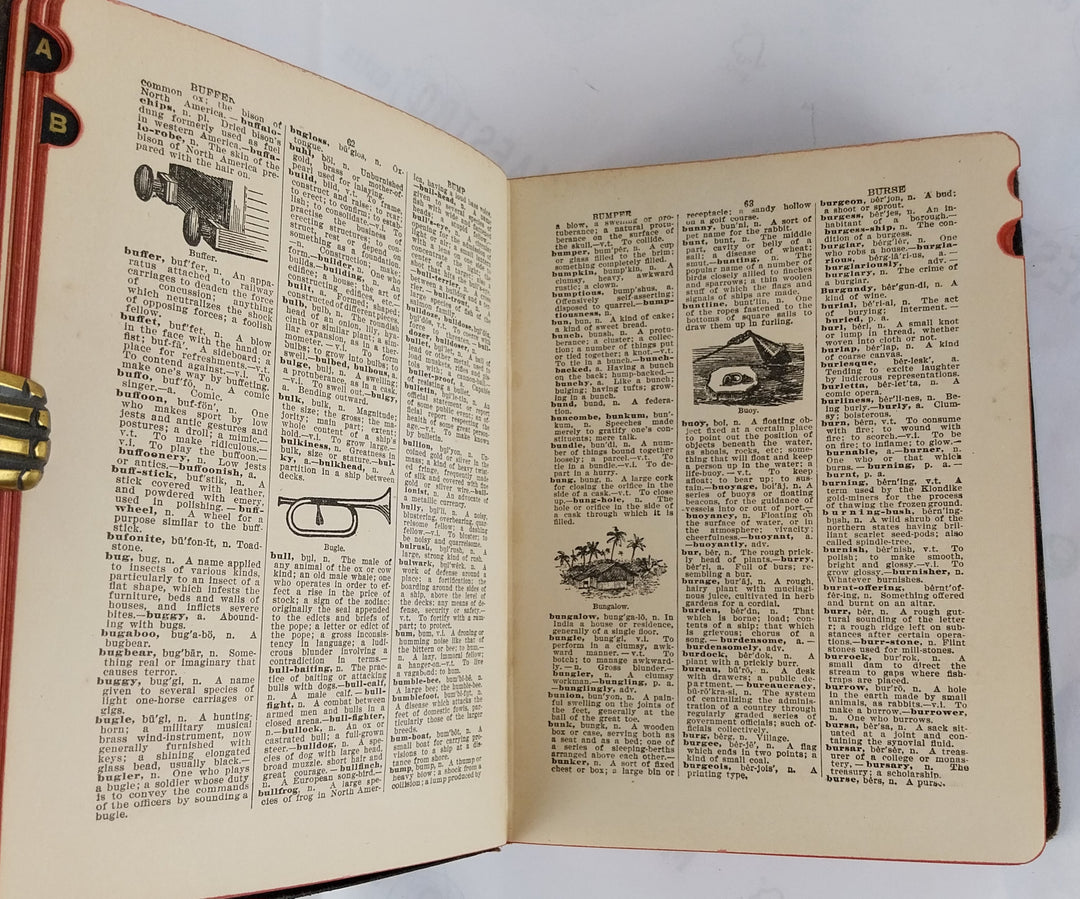 Standard Home and School Dictionary Containing Literary, Scientific Encyclopedic and Pronouncing Features