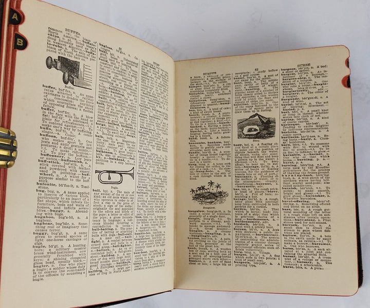 Standard Home and School Dictionary Containing Literary, Scientific Encyclopedic and Pronouncing Features