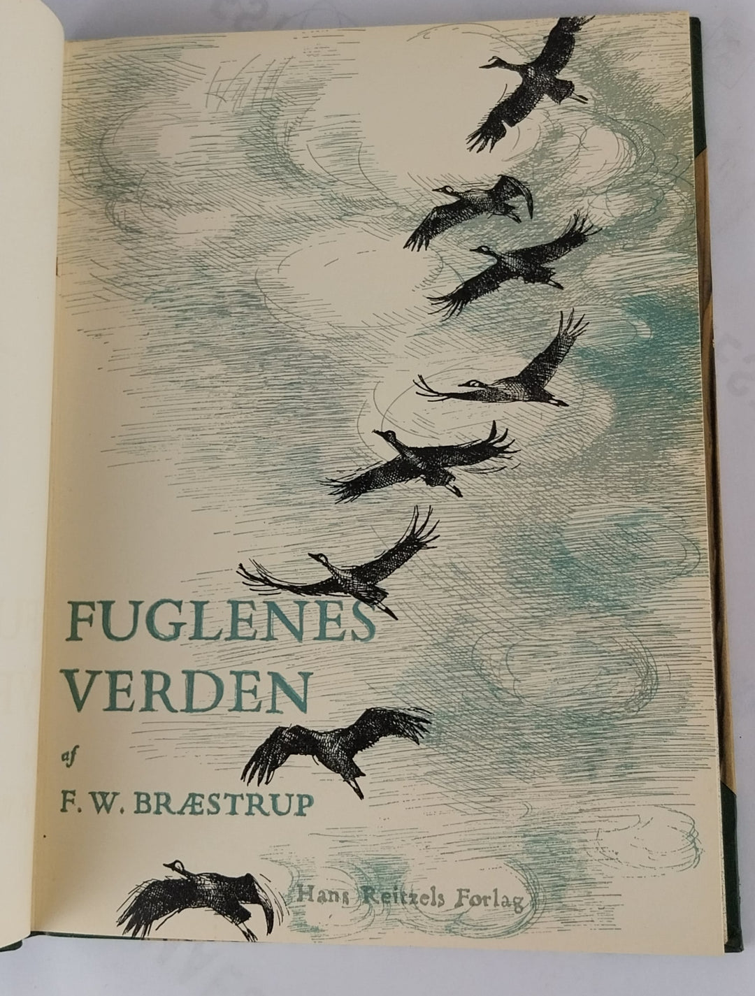 Fuglenes verden