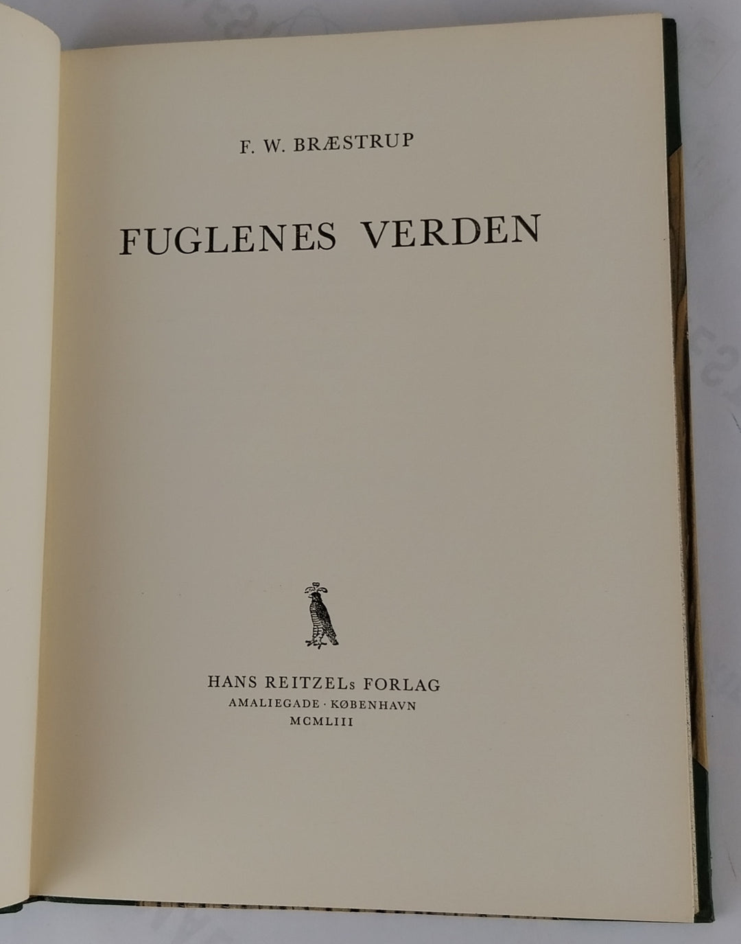 Fuglenes verden