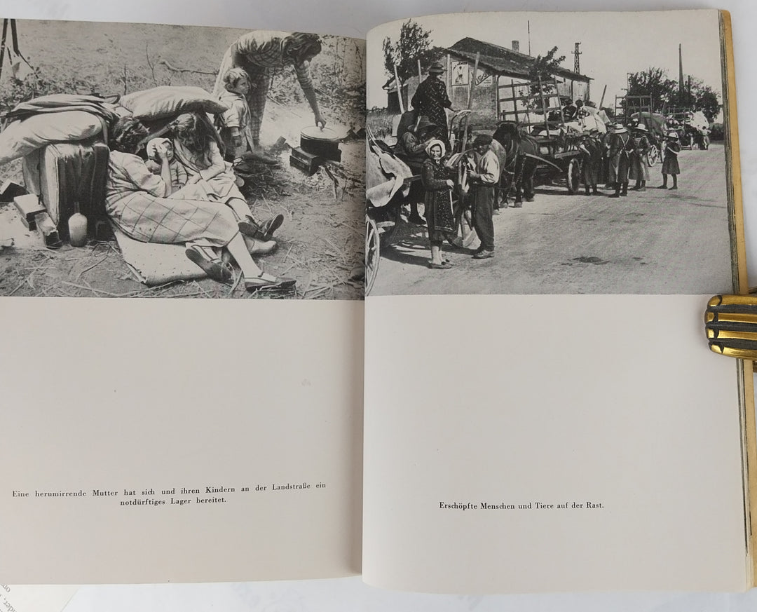 Die französische Flüchtlingstragödie