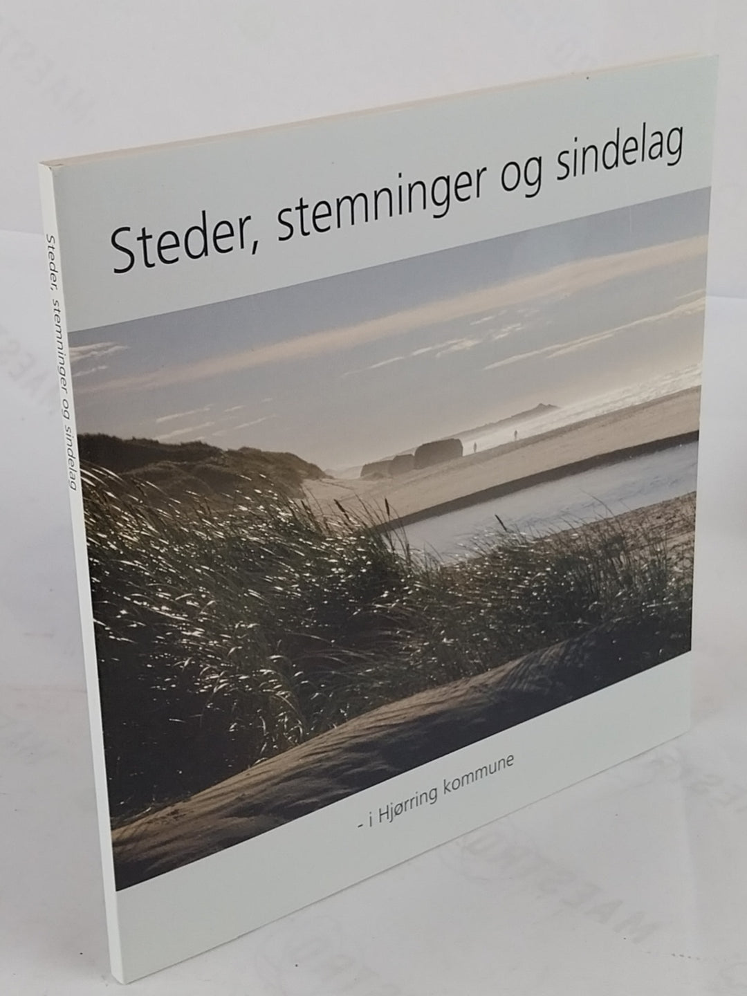 Steder, stemninger og sindelag - i Hjørring Kommune