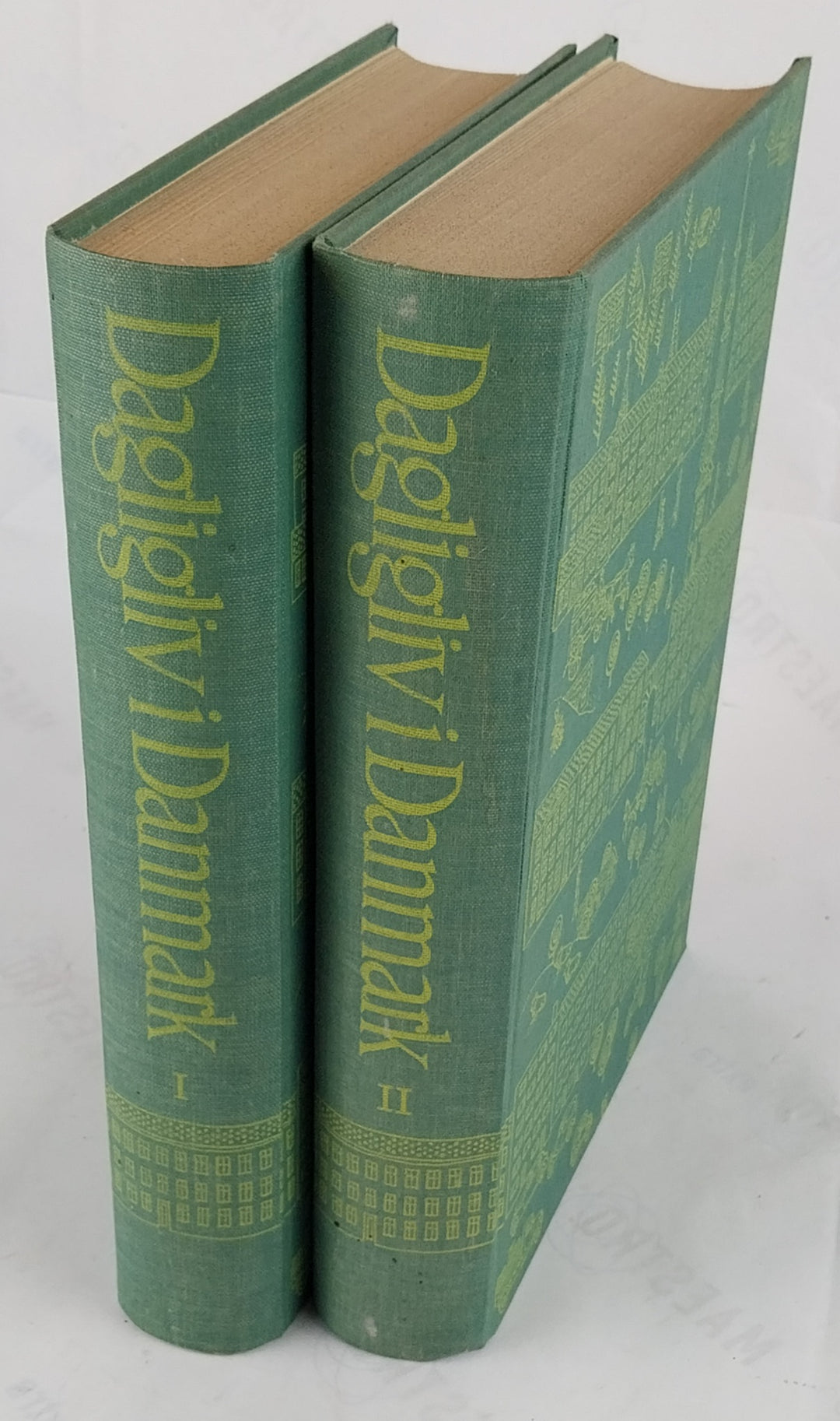 Dagligliv i Danmark i det nittende og tyvende århundrede. 2 bind