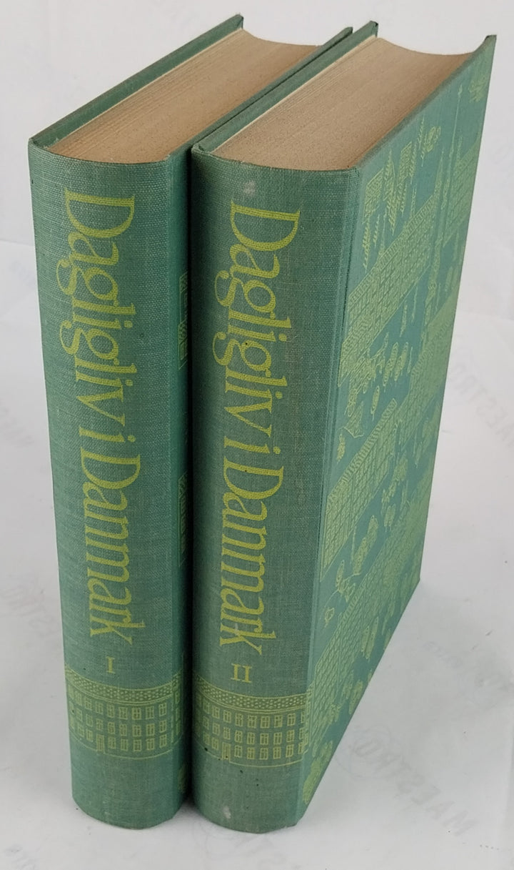 Dagligliv i Danmark i det nittende og tyvende århundrede. 2 bind
