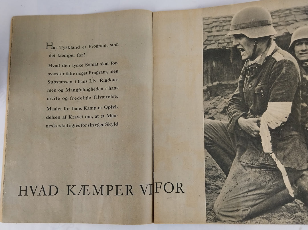 Hvad kæmper vi for