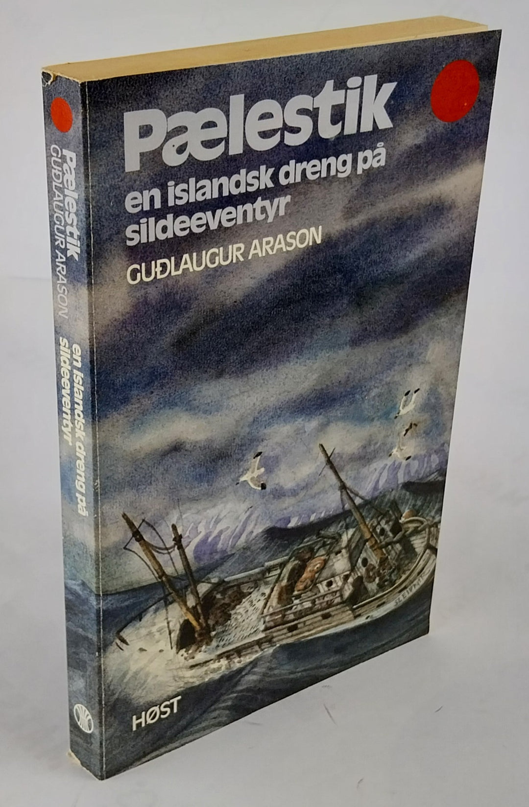 Pælestik. En islandsk dreng på sildeeventyr