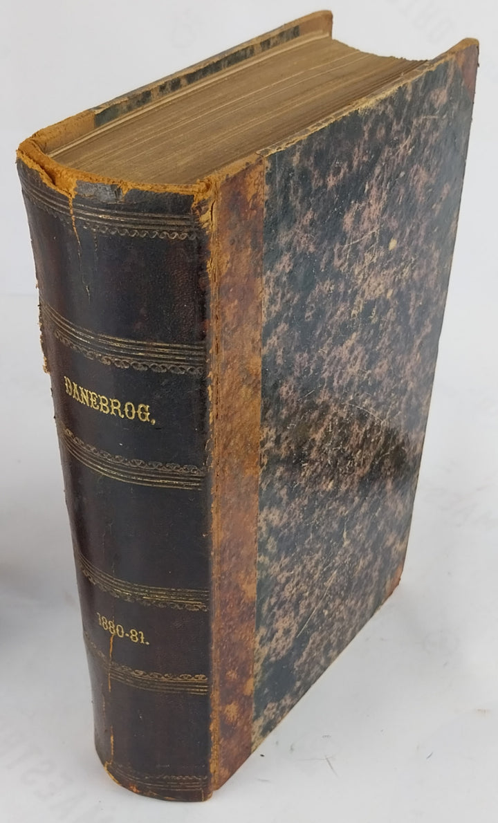 Danebrog. Aargang 1880-1881