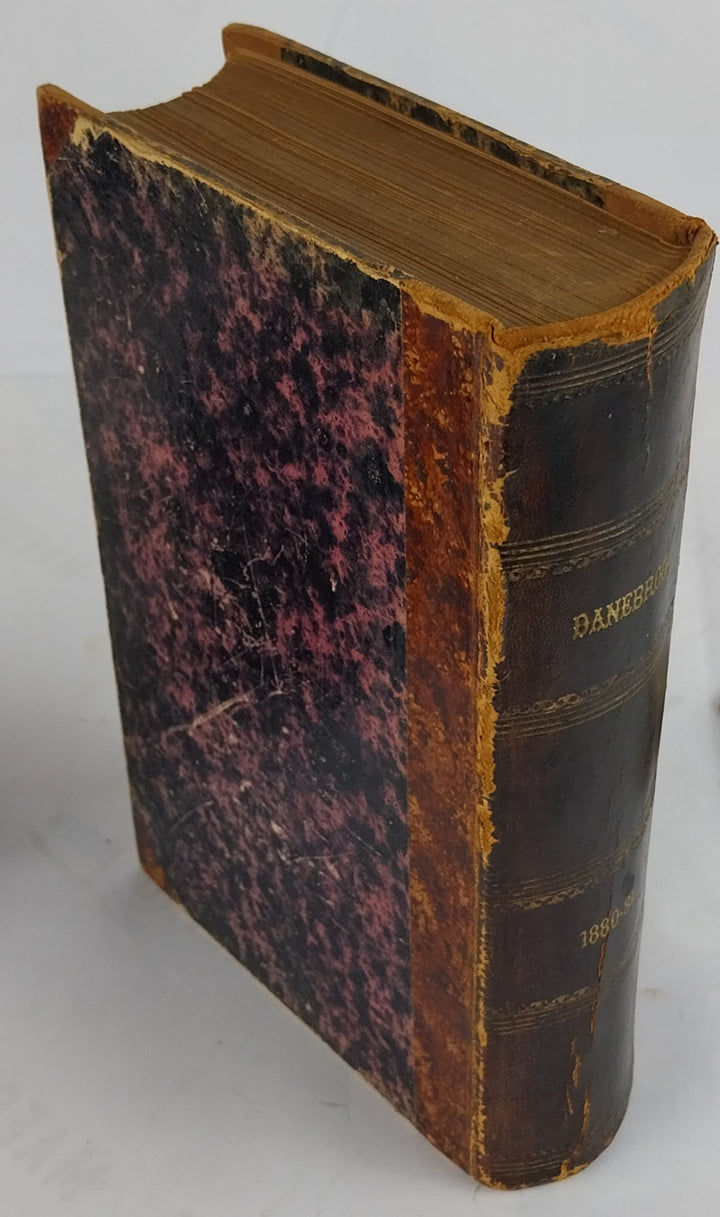 Danebrog. Aargang 1880-1881