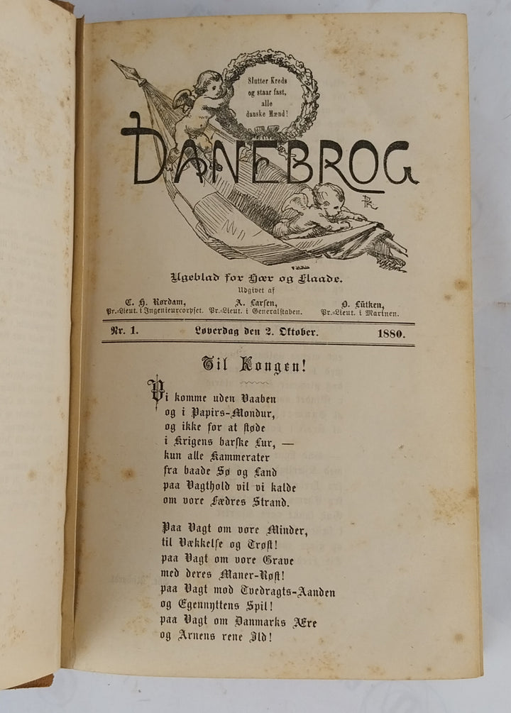 Danebrog. Aargang 1880-1881