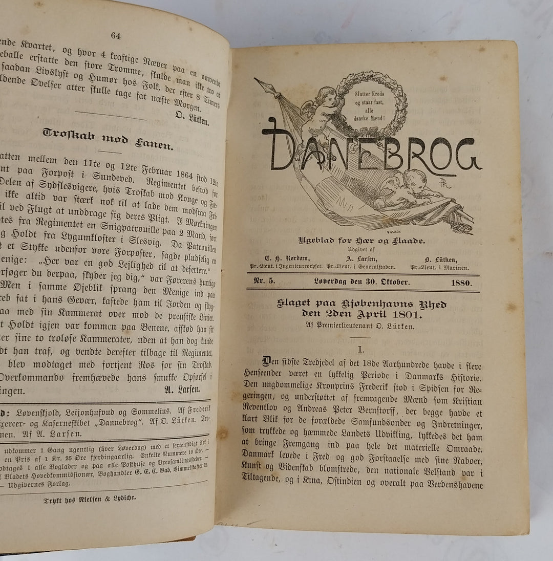 Danebrog. Aargang 1880-1881