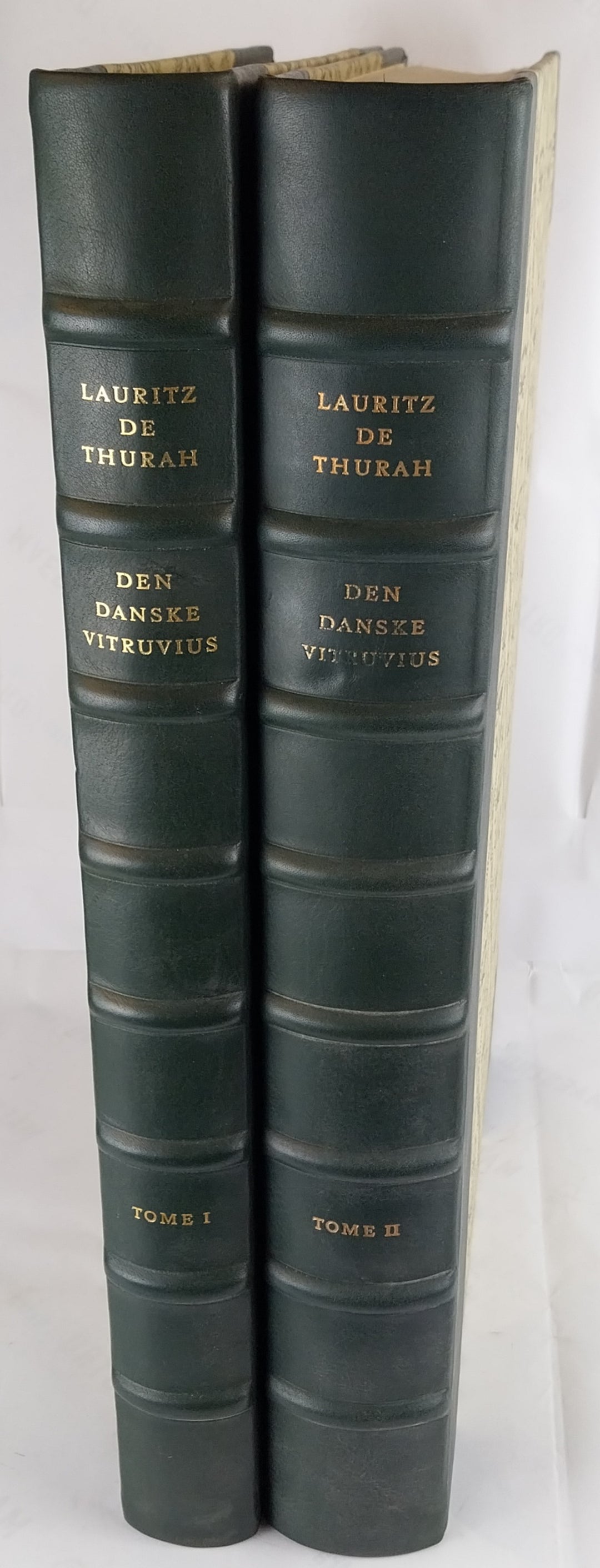 Den danske Vitruvius.