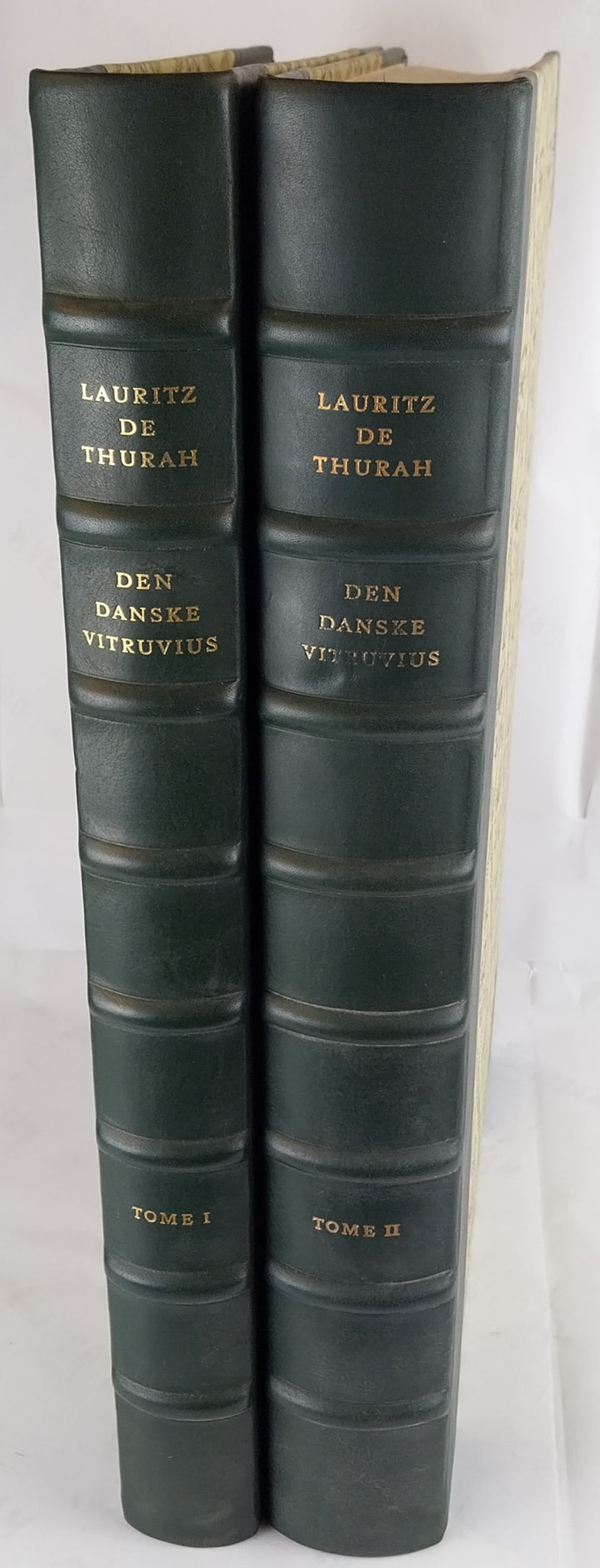 Den danske Vitruvius.