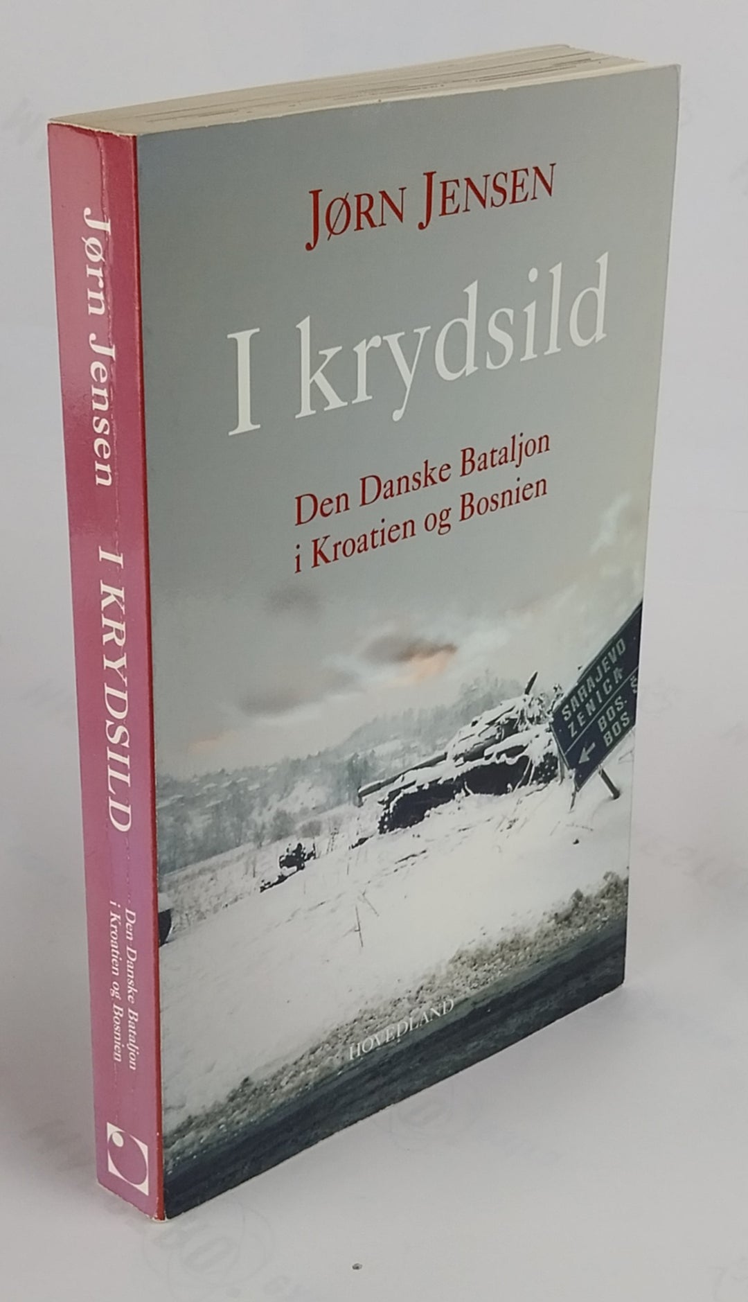 I krydsild. Den Danske Bataljon i Kroatien og Bosnien.