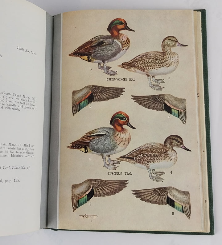 The Ducks, Geese and Swans of North America: A Vade Mecum for the Naturalist and the Sportsman