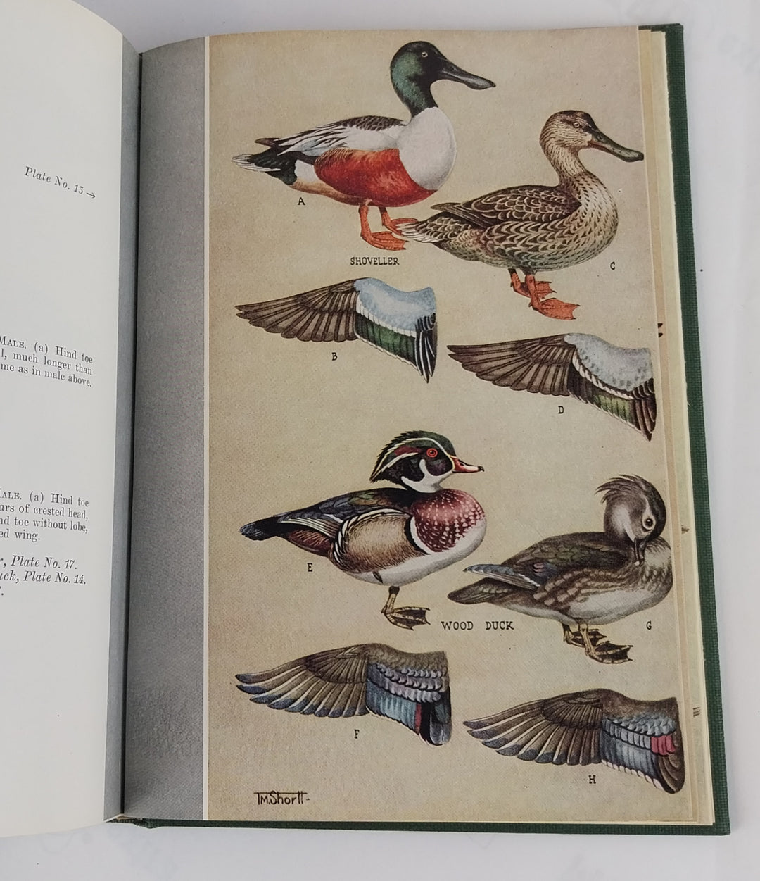 The Ducks, Geese and Swans of North America: A Vade Mecum for the Naturalist and the Sportsman