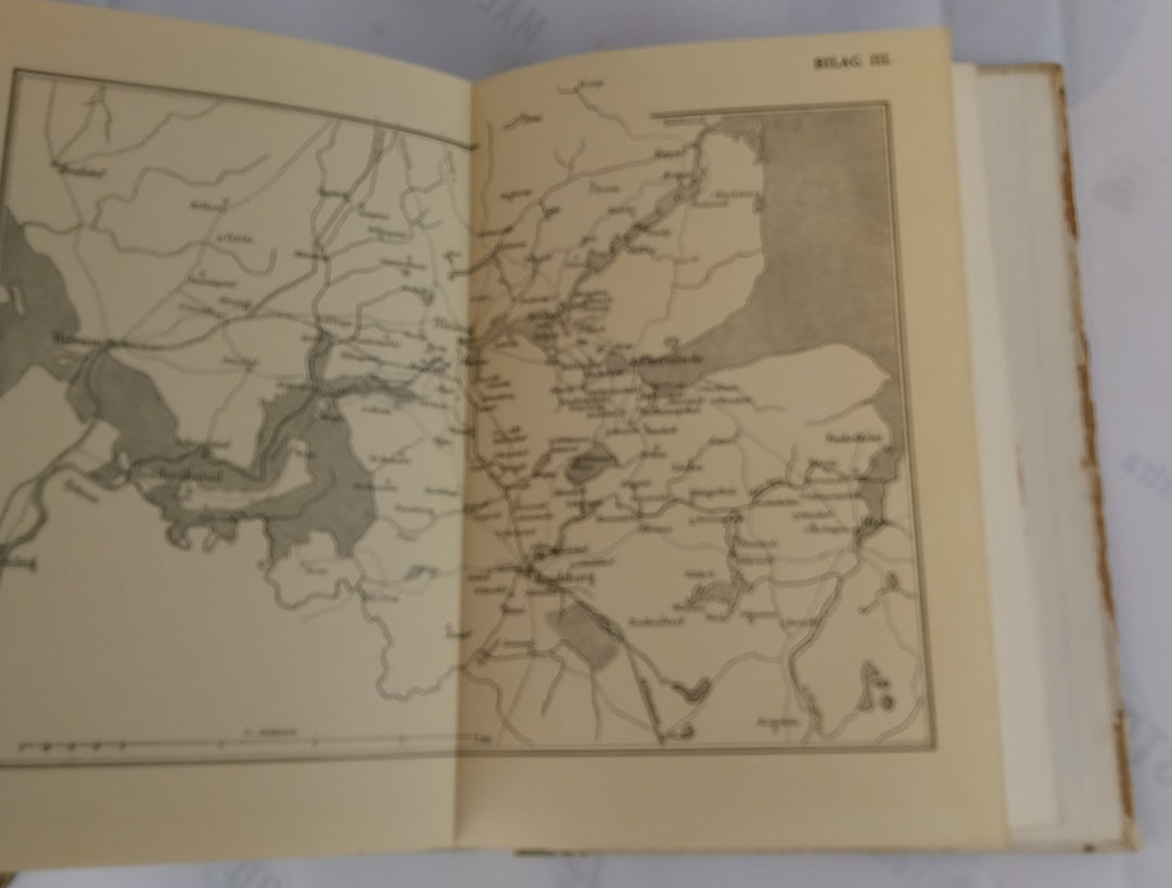 Hæren ved Danevirke 1864