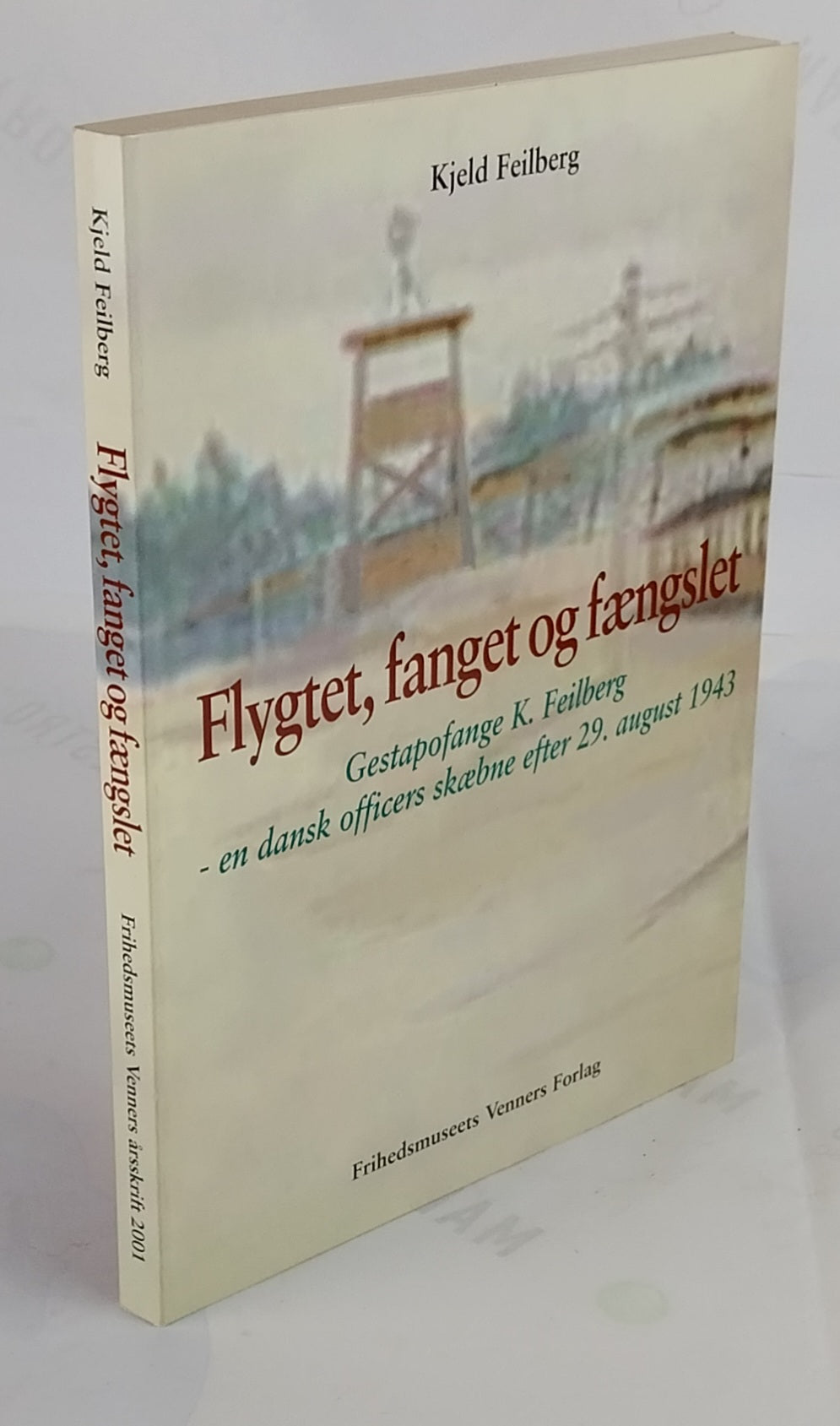 Flygtet, fanget og fængslet