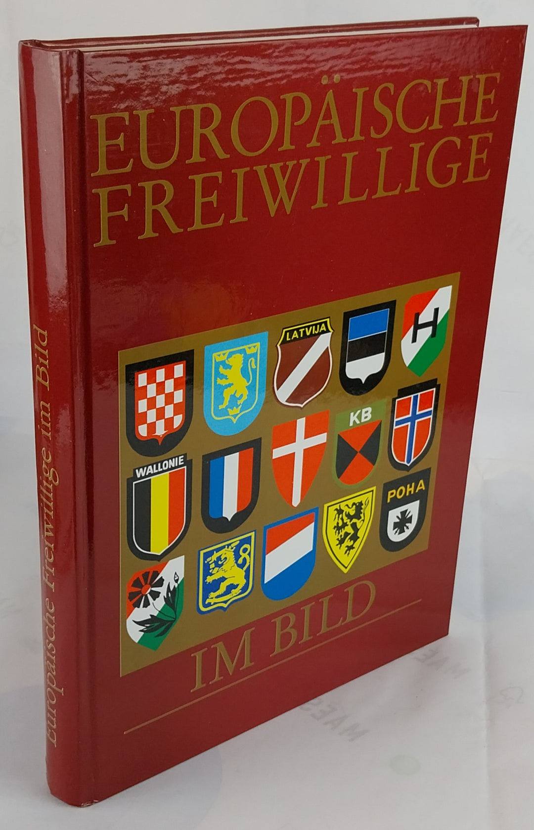 Europäische Freiwillige im Bild.