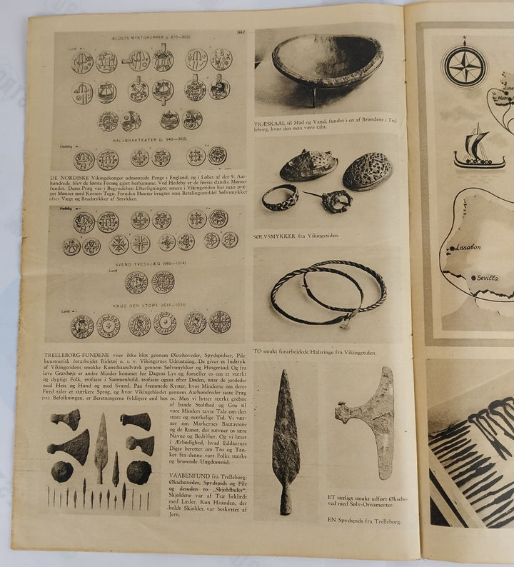 Vikingerne og Trelleborg