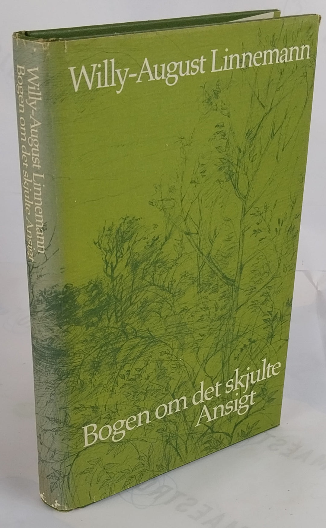 Bogen om det skjulte ansigt