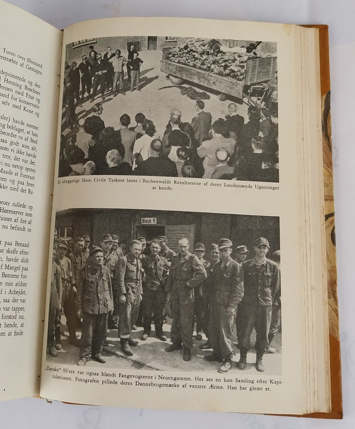 Den hvide brigade. Danske lægers modstand.