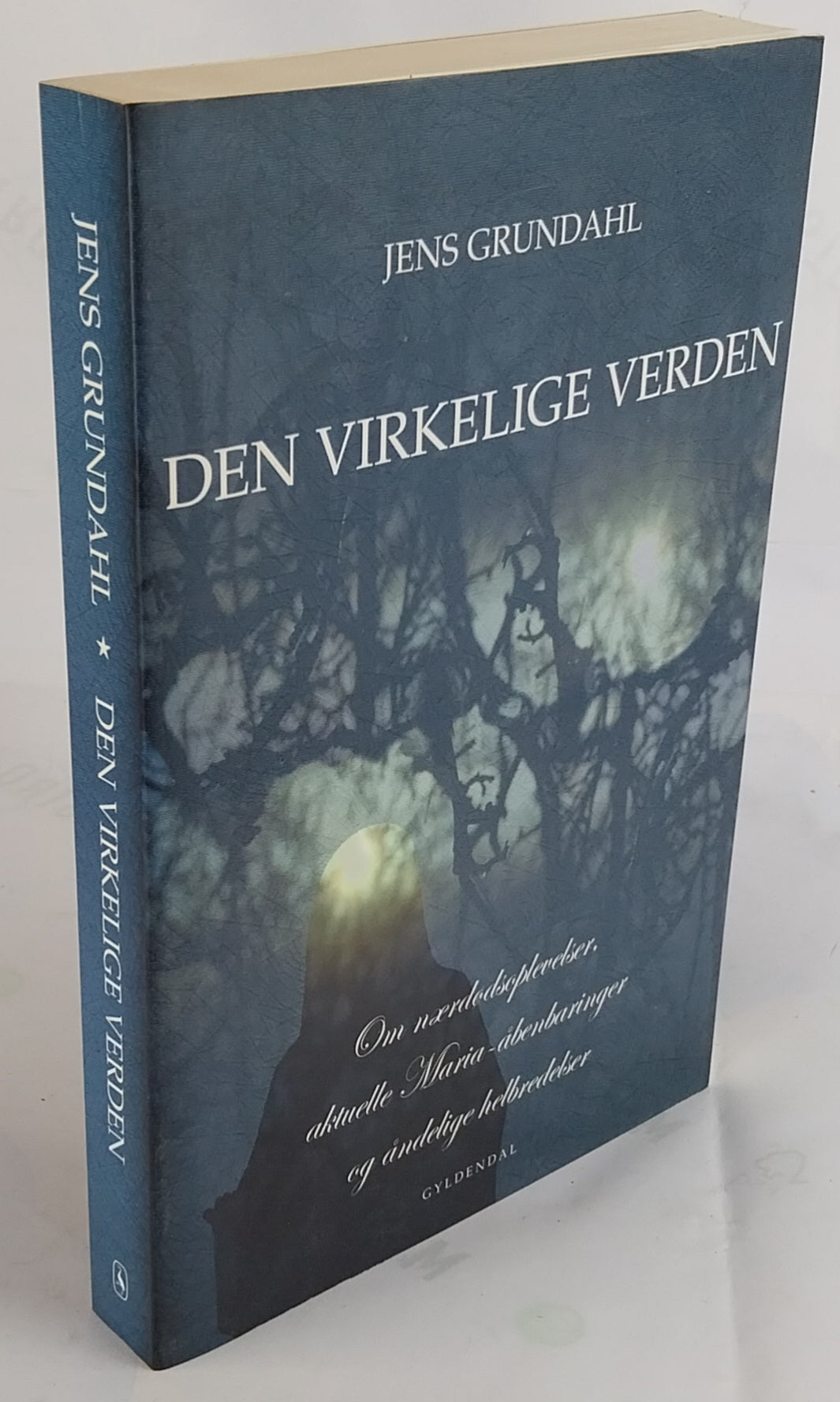 Den virkelige verden