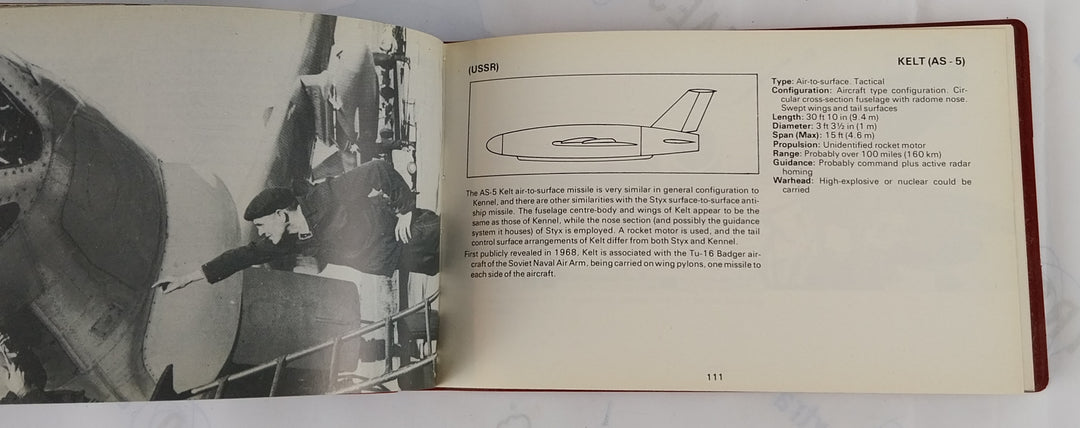 Missiles Jane's Pocket Book 10