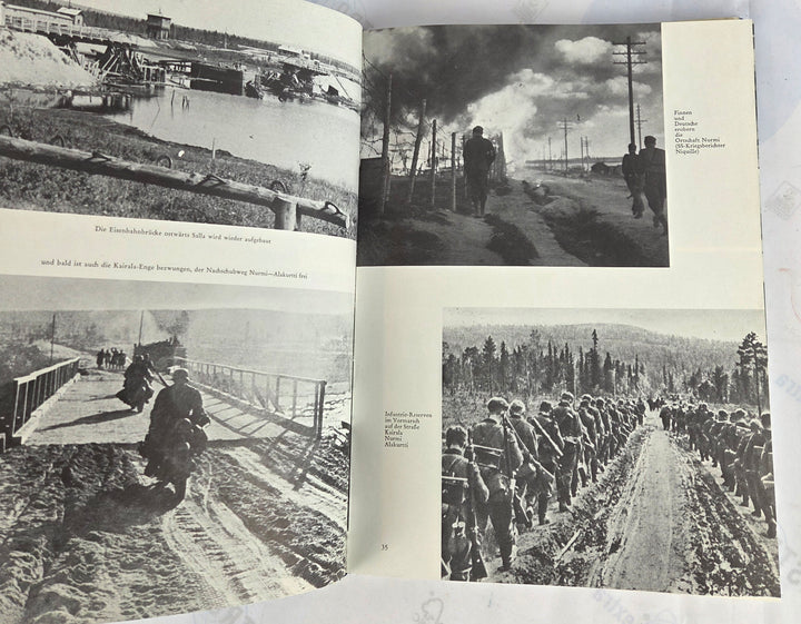 Gebirgsjæger im bild: 6. SS-Gebirgsdivision Nord 1940-1945